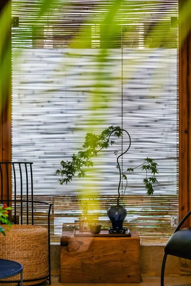 冬日浪漫！深圳坪山賞梅路線快收藏好