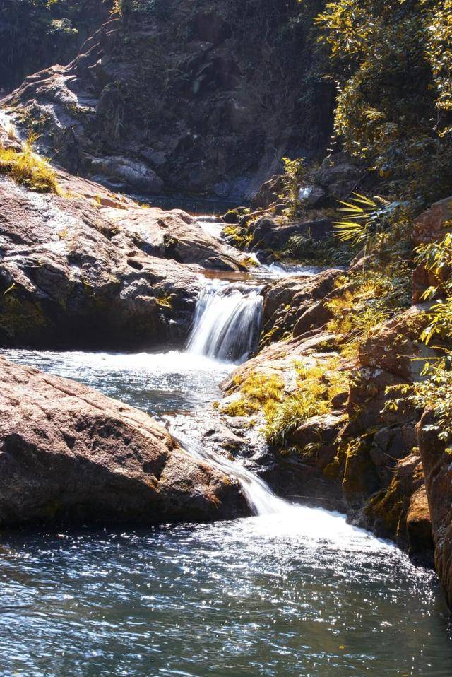 冬日浪漫！深圳坪山賞梅路線快收藏好