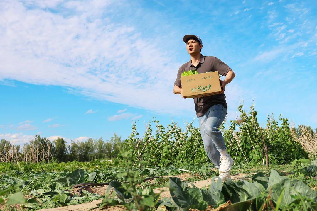 江蘇2025年快遞業務量157.9億件，漲幅13.5%，你貢獻了多少？