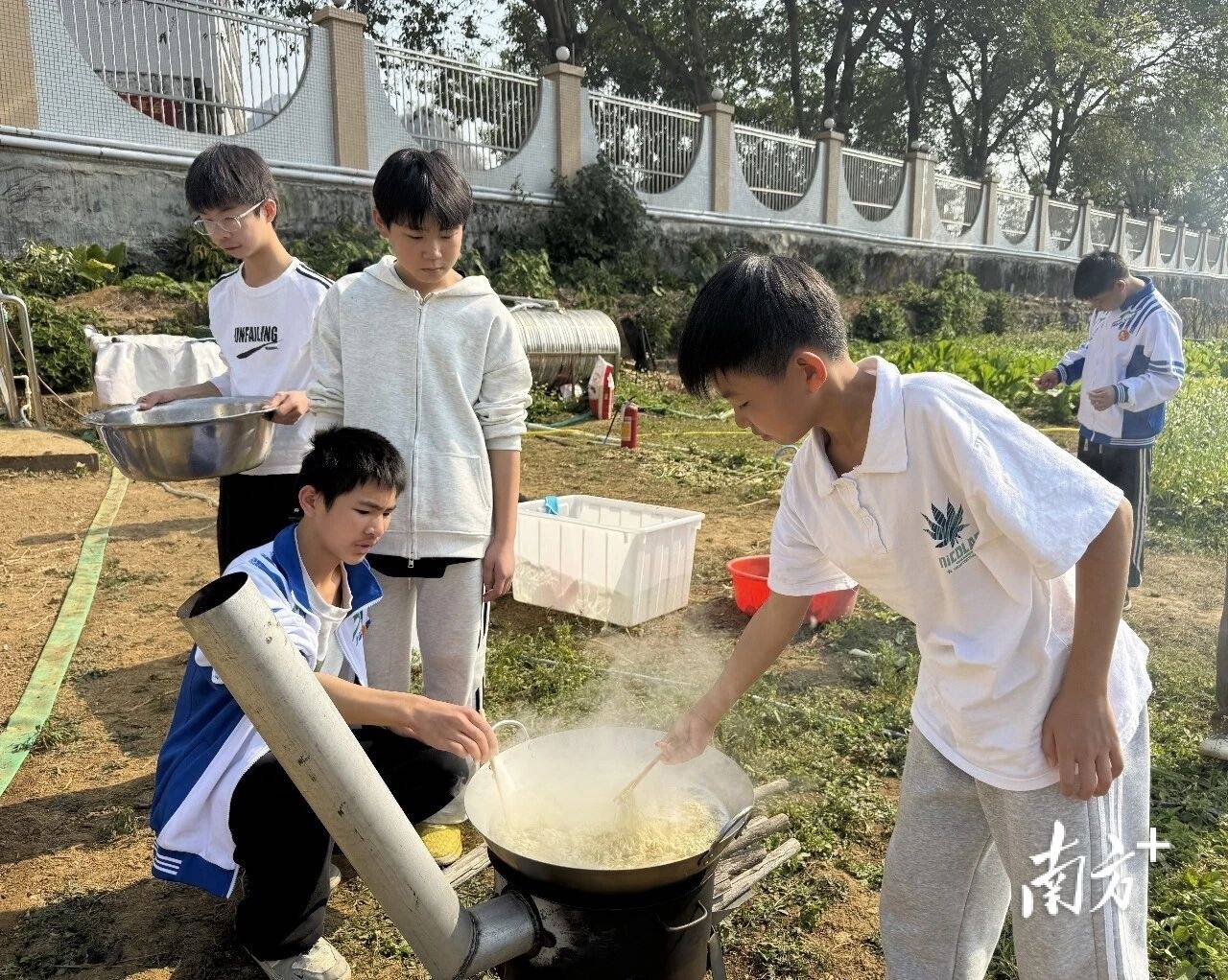 “眾耕園”裡飯菜香！清新這所學校勞動教育歡樂多