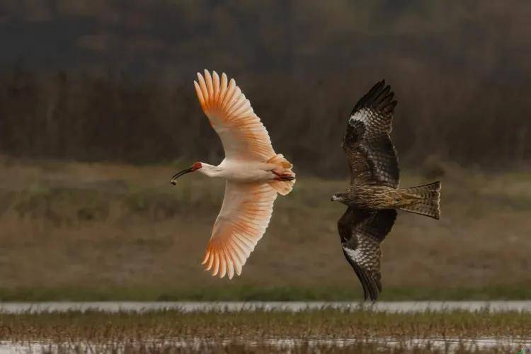 國際旅遊攝影網2026年國內外攝影路線全景指南