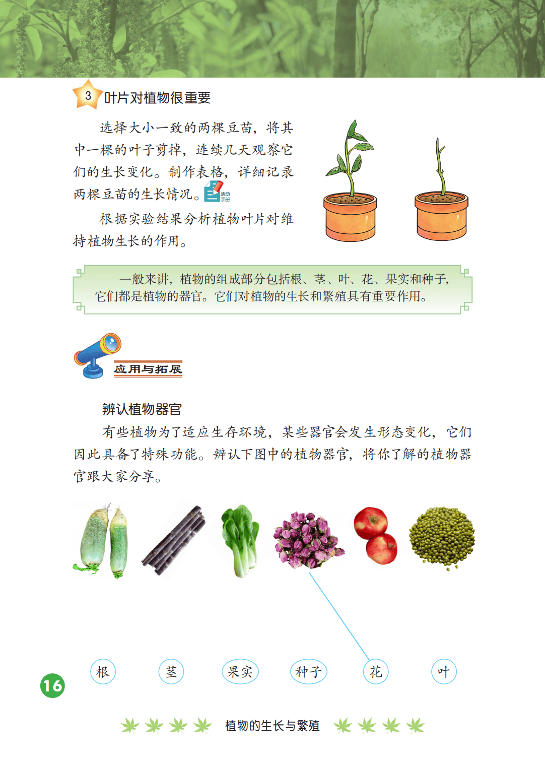 2026冀人版四年級科學下冊電子課本(PDF高畫質版新教材)