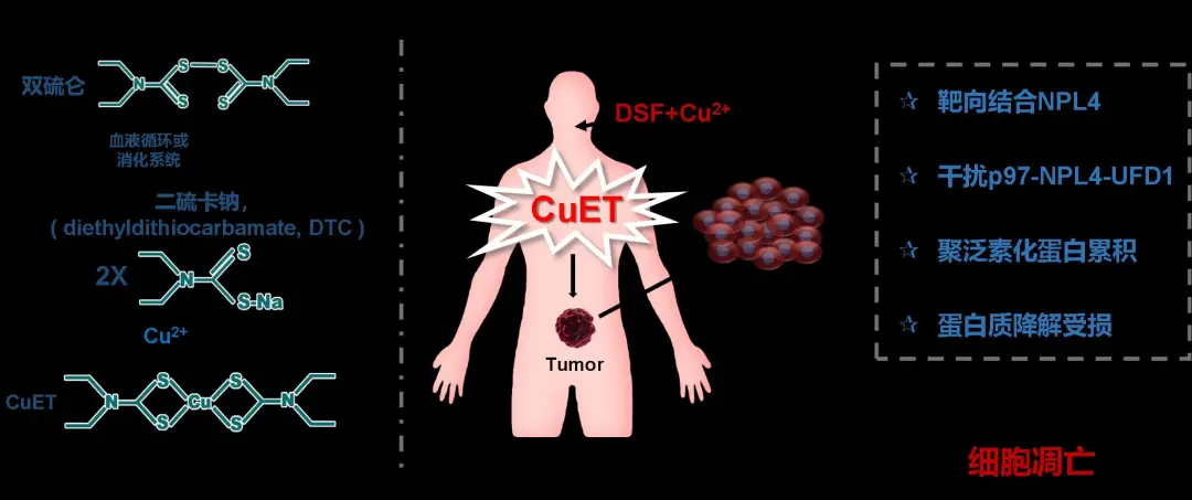 中南（貴陽）產業技術研究院有限公司科技成果釋出（第十三期）