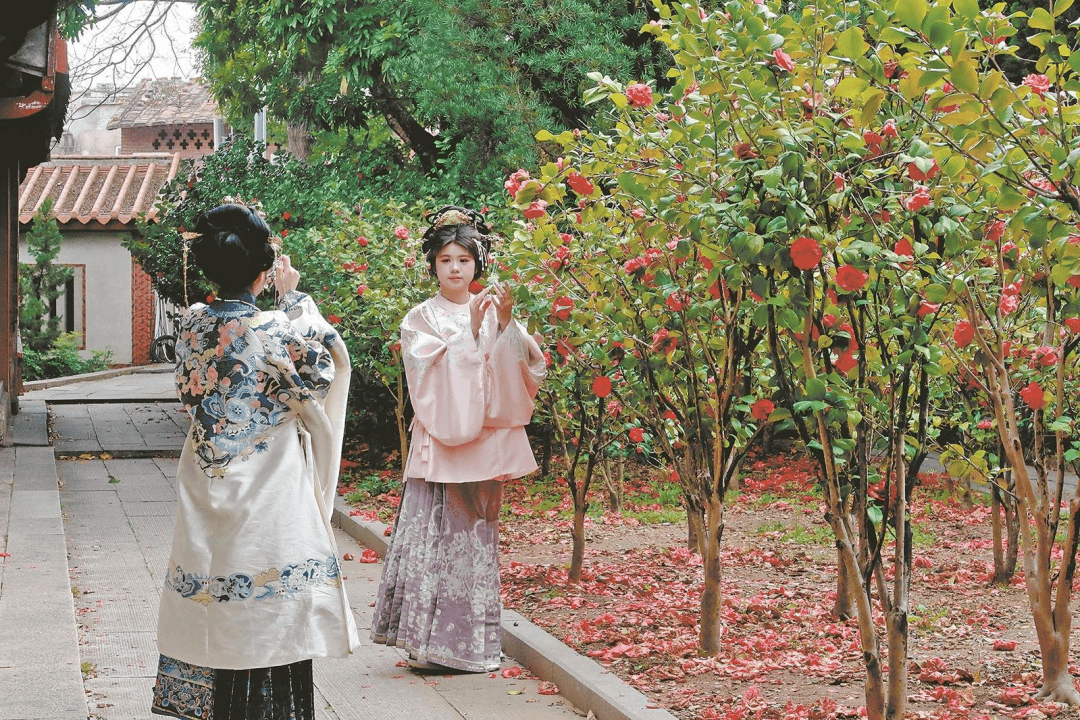 收藏！泉州春日賞花去哪裡？花期+地址全攻略