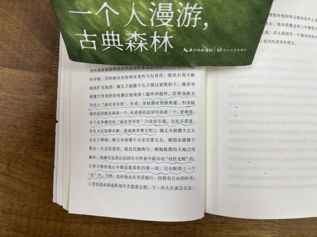 簡媜：隱藏在詩歌肌理內的人生