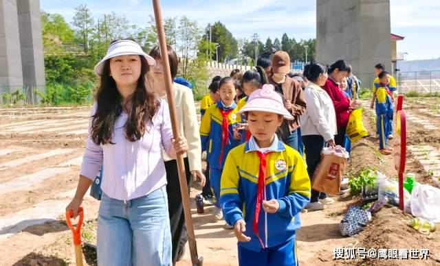 原創一粒種子的力量——平涼拂曉小學五育融合繪就育人新圖景