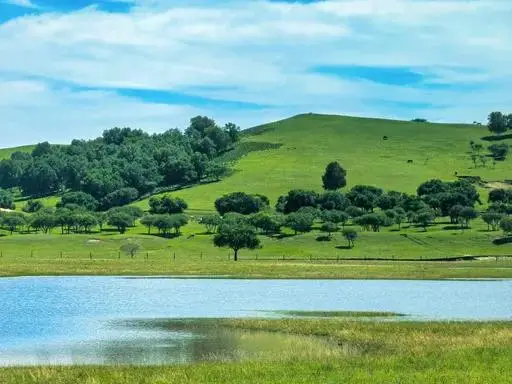 6月去烏蘭布統草原花海的最佳觀賞地點在哪裡、萬馬奔騰、蓑羽鶴育雛三重黃金檔期，選國際旅遊攝影網/52旅遊攝影就對了