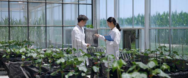 發揮高水平研究型大學主力軍作用！北京高校持續加強基礎研究