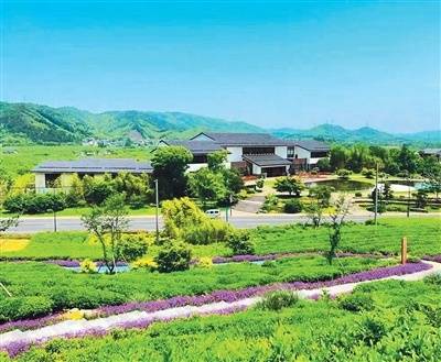 為旅遊國際標準貢獻中國智慧