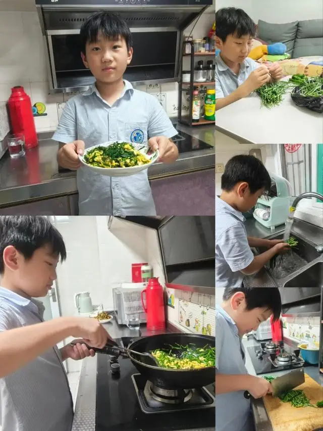 合肥市倫先小學：採摘沁香蔬果，勞動樂享成長