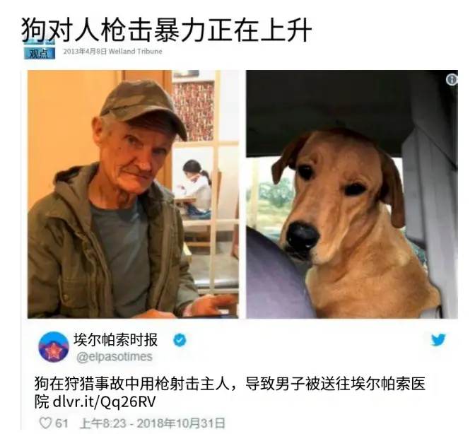 原創近日一條狗開槍打中無辜女性！在美國，狗用槍殺人事件頻發有多離譜？
