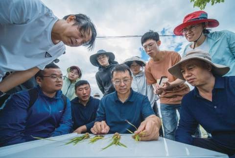 中國農業大學張福鎖：把科研搞在農田裡，把論文寫在大地上