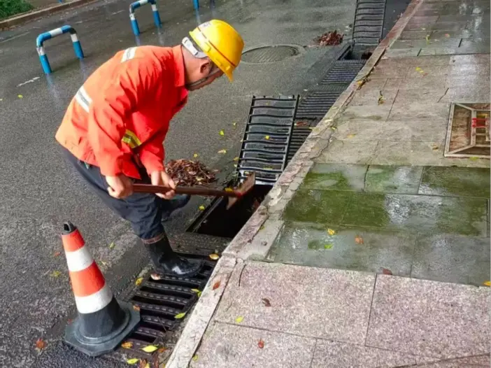 重慶城市管理部門快速清理倒伏樹木，本輪強降雨應對工作有序收尾