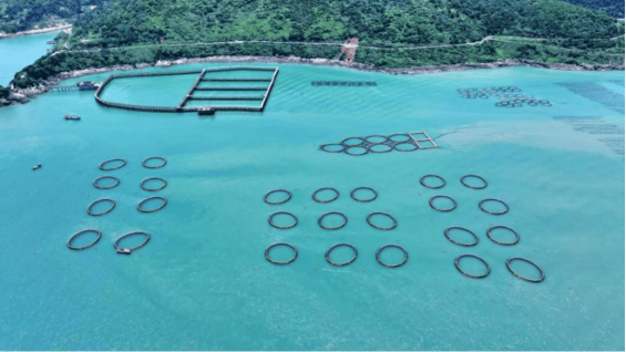 台州，一座被美食浸潤的幸福之城