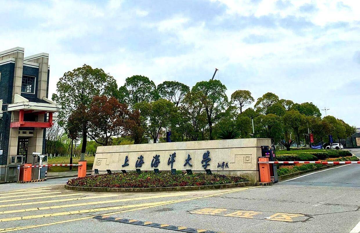 原創2026上海文科生分專業擇校參考（985 / 211 / 雙非），建議收藏