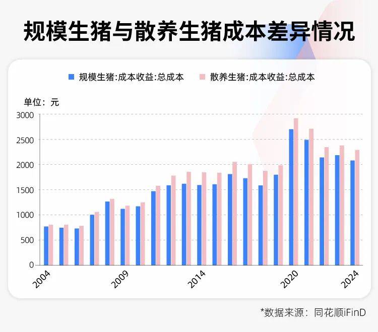 豬價創17年新低，養豬的邏輯徹底變了！專家：豬週期已變形，“地板價”不會再現，反轉拐點也不會來