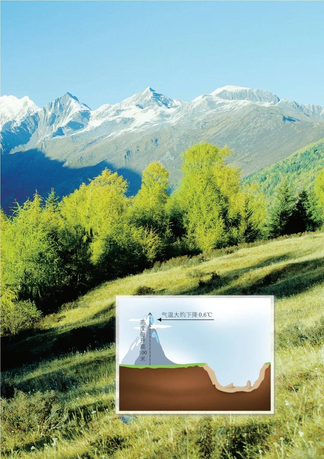 浙教版七年級數學上冊電子課本(2026年新教材)