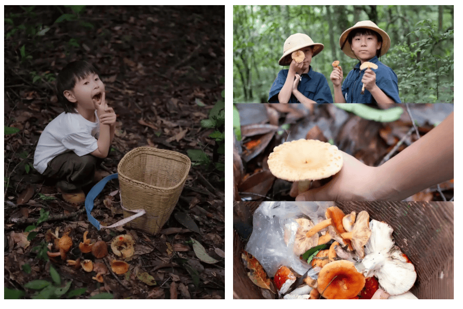 “粽”夏深呼吸 | 湄公河旅遊端午假期慢充式旅行指南