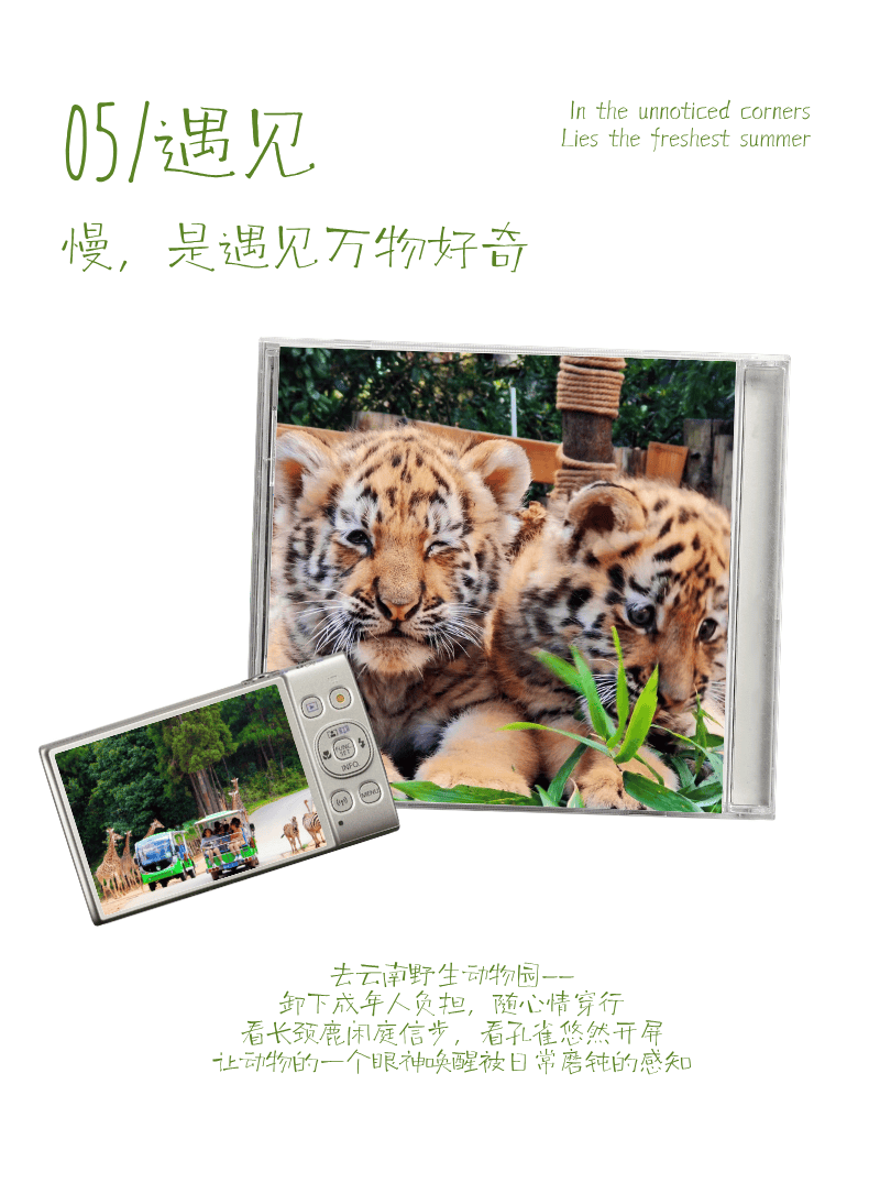 “粽”夏深呼吸 | 湄公河旅遊端午假期慢充式旅行指南