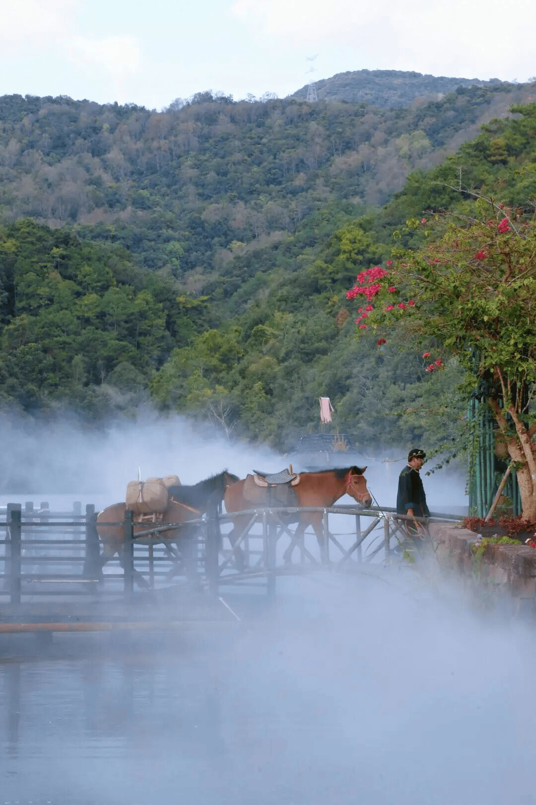 “粽”夏深呼吸 | 湄公河旅遊端午假期慢充式旅行指南
