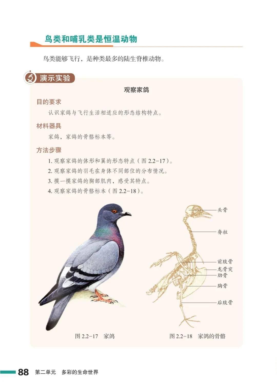 濟南版七年級生物上冊電子課本(2026新教材)