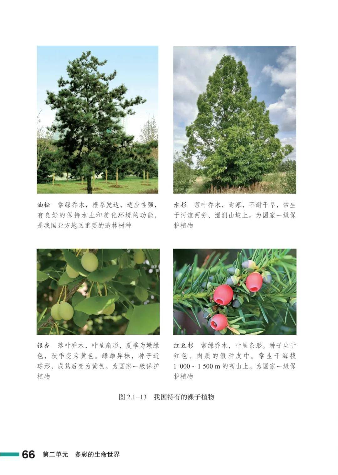 濟南版七年級生物上冊電子課本(2026新教材)
