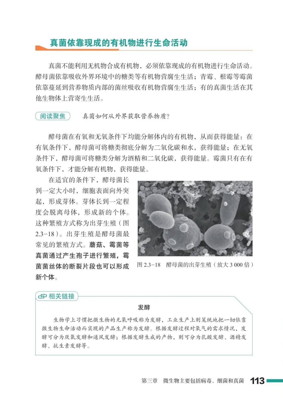 濟南版七年級生物上冊電子課本(2026新教材)