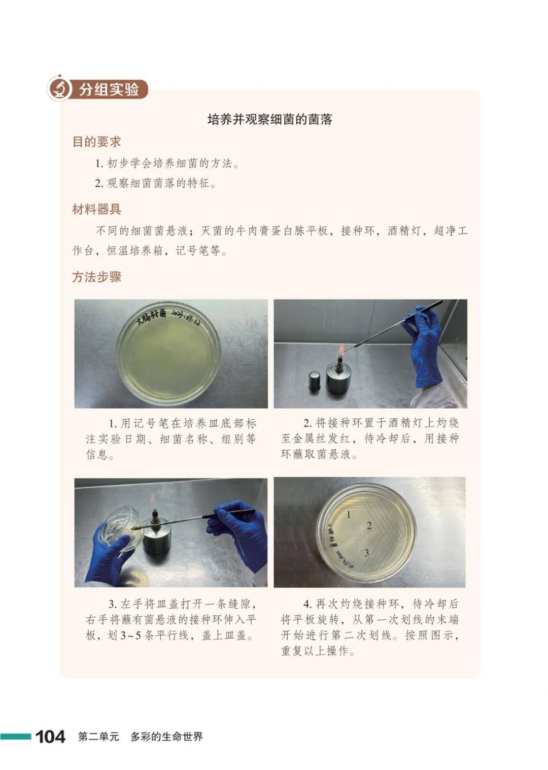 濟南版七年級生物上冊電子課本(2026新教材)