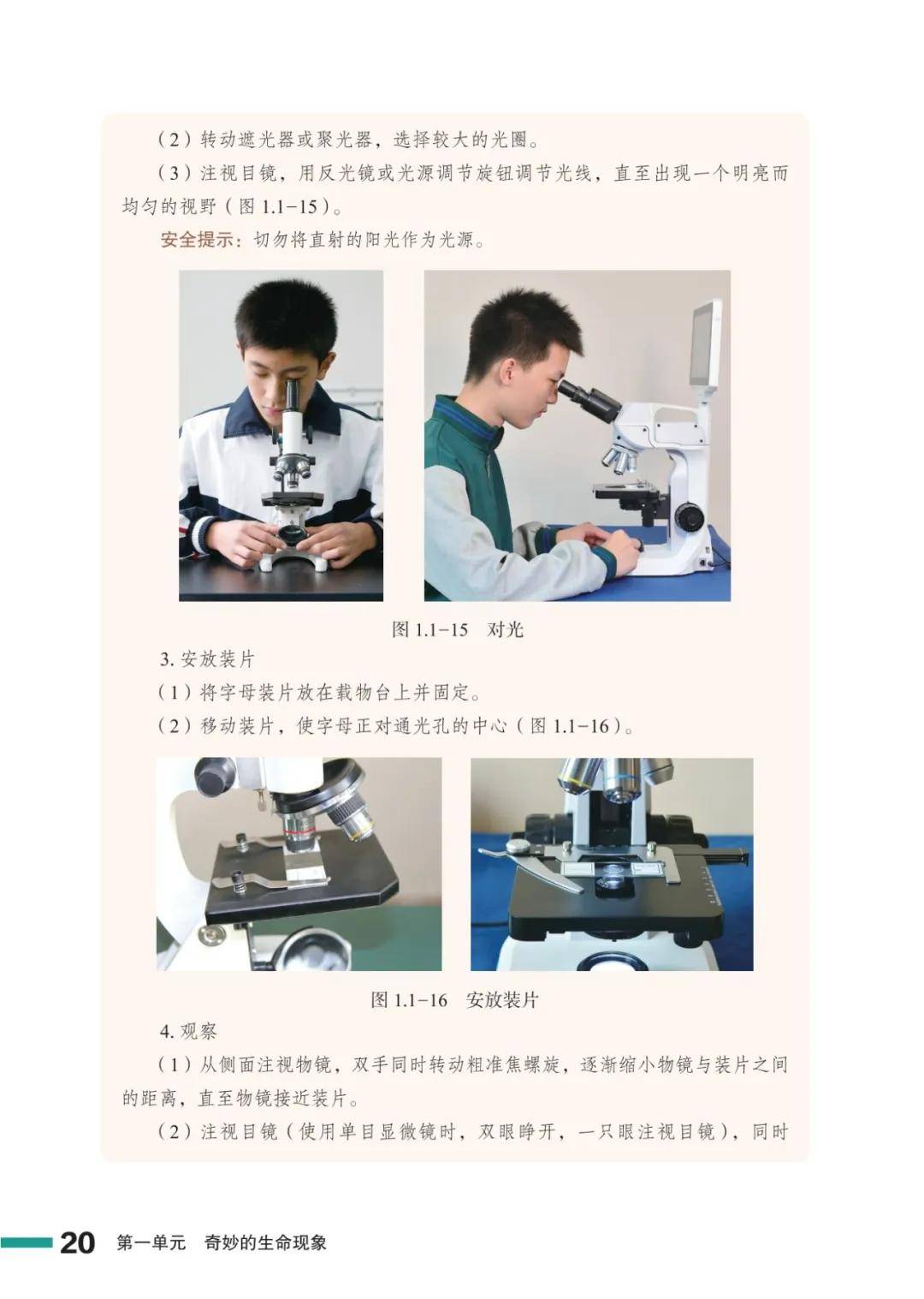 濟南版七年級生物上冊電子課本(2026新教材)
