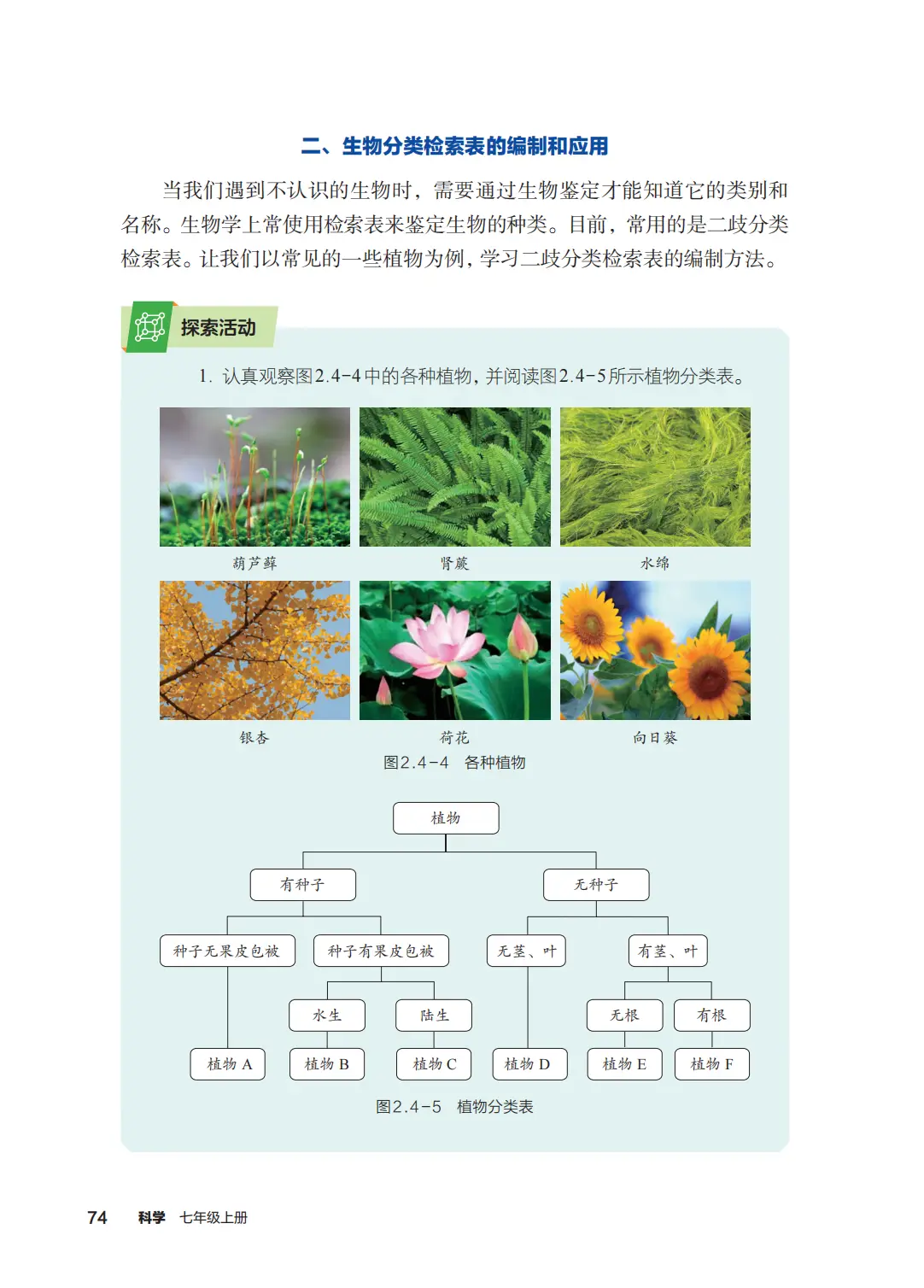 浙教版七年級科學上冊電子課本(2026年新教材)