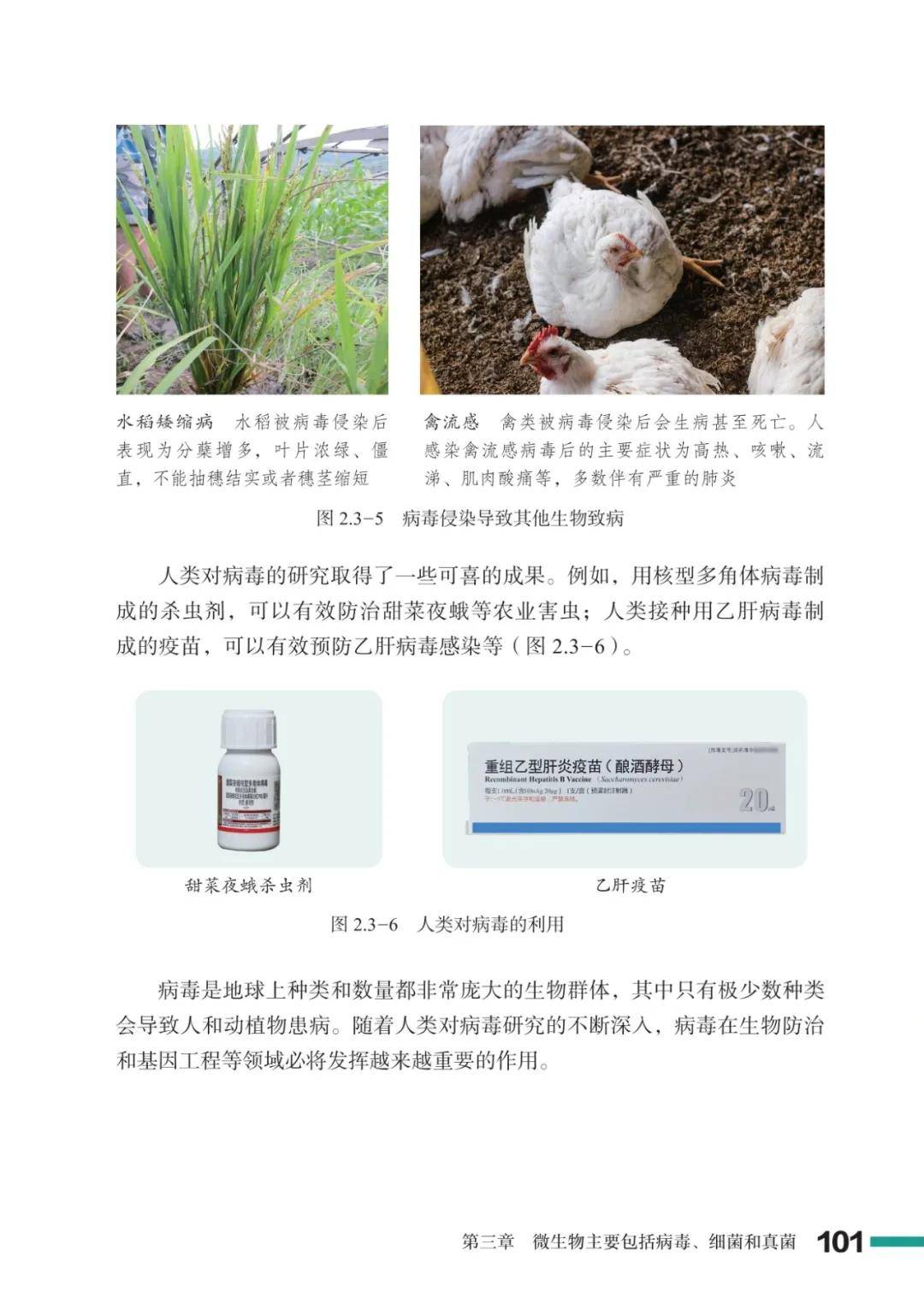 濟南版七年級生物上冊電子課本(2026新教材)