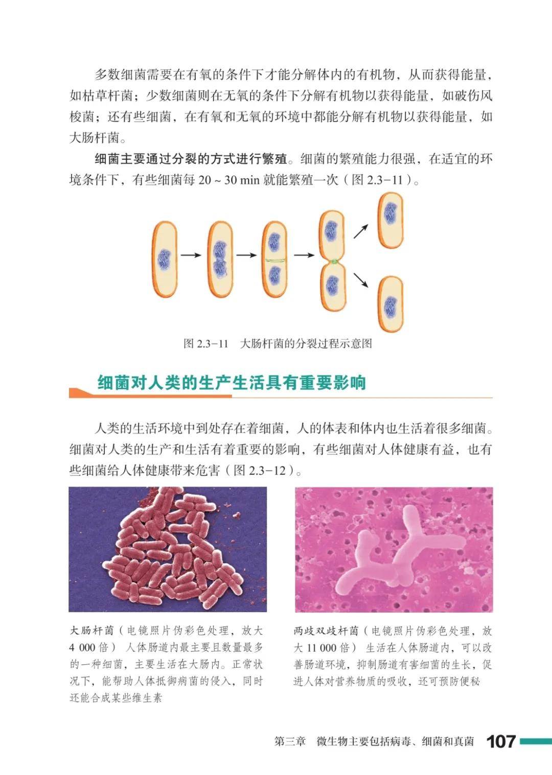 濟南版七年級生物上冊電子課本(2026新教材)