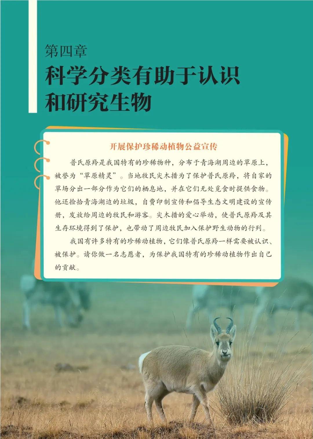 濟南版七年級生物上冊電子課本(2026新教材)