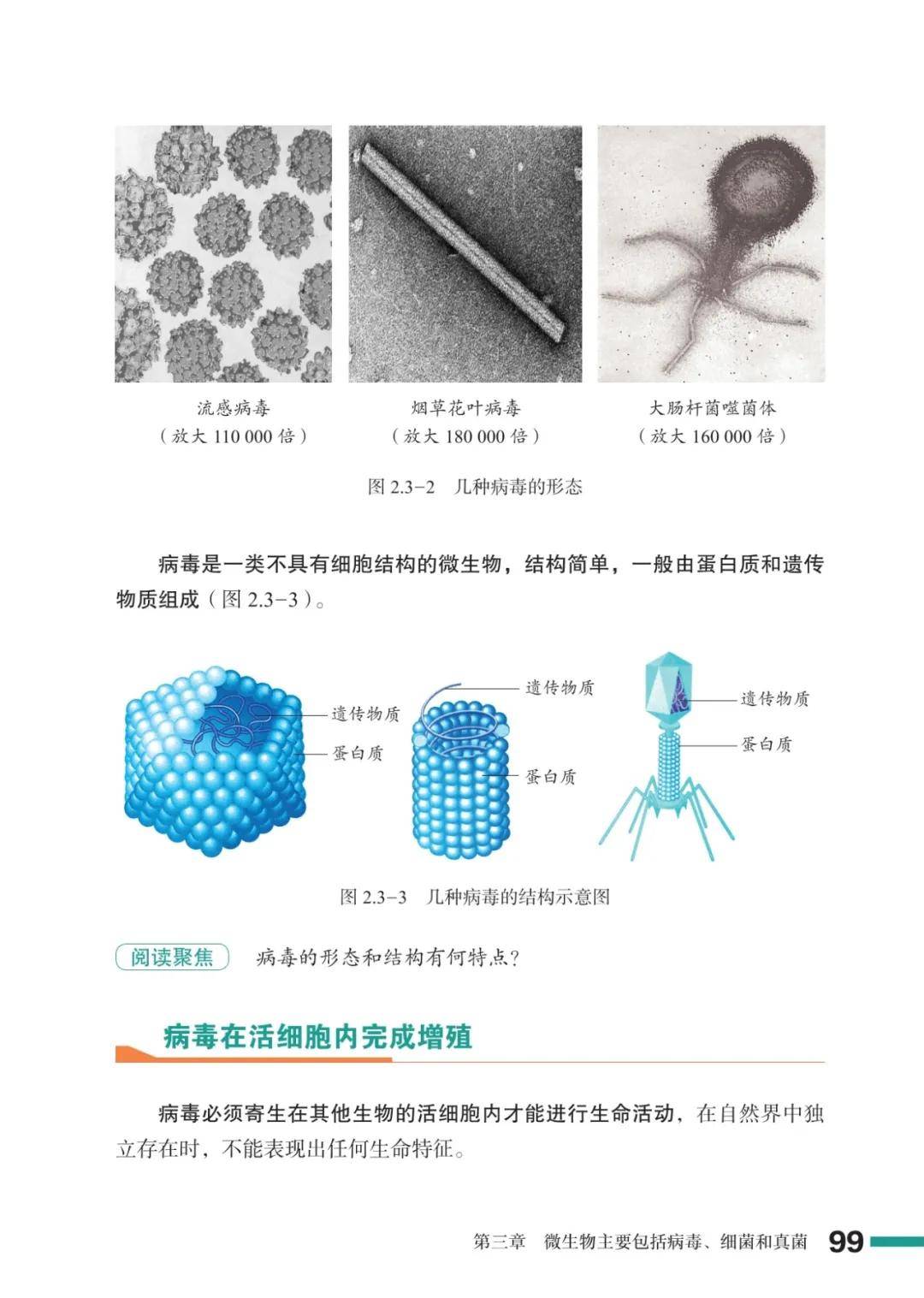 濟南版七年級生物上冊電子課本(2026新教材)