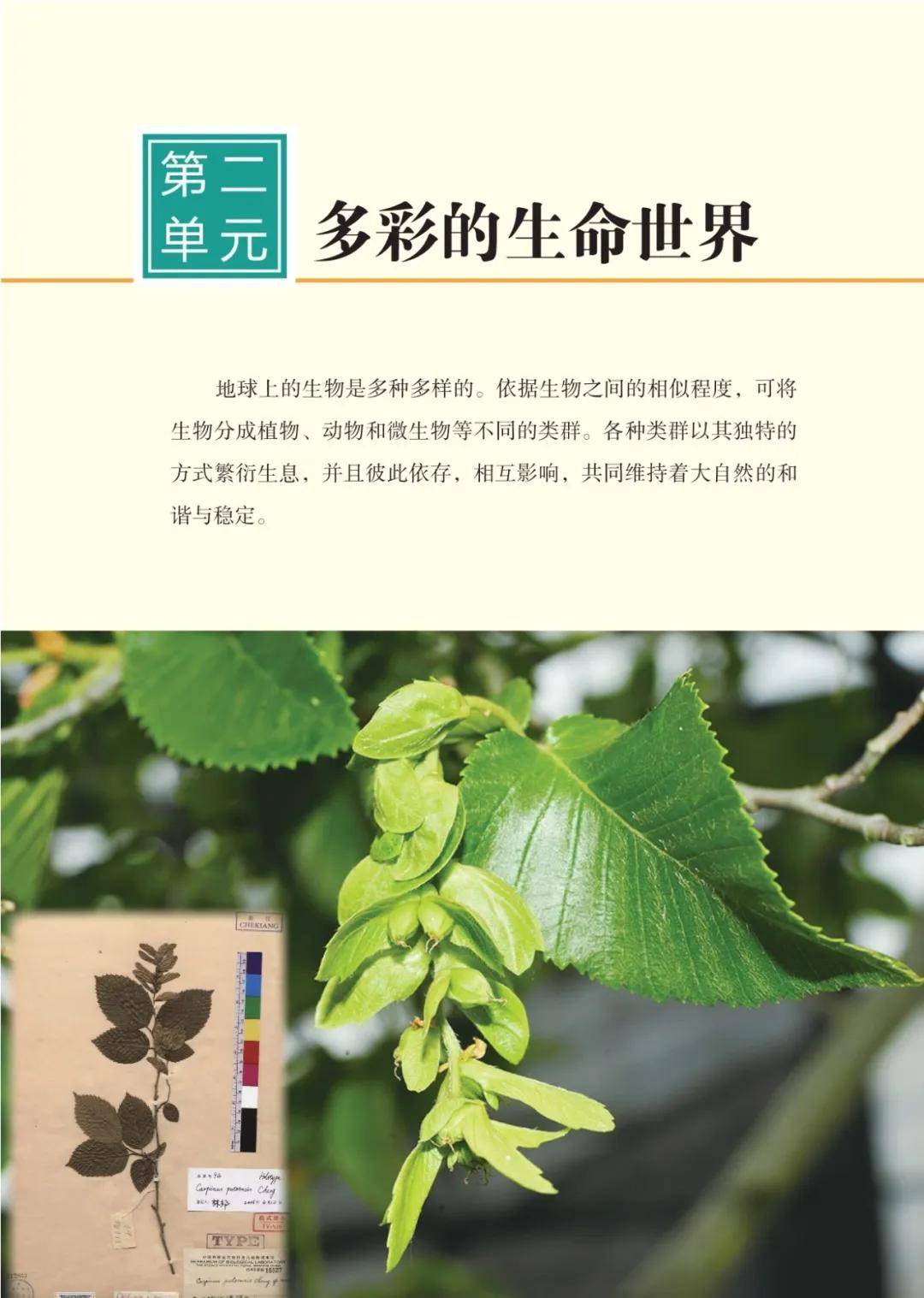 濟南版七年級生物上冊電子課本(2026新教材)
