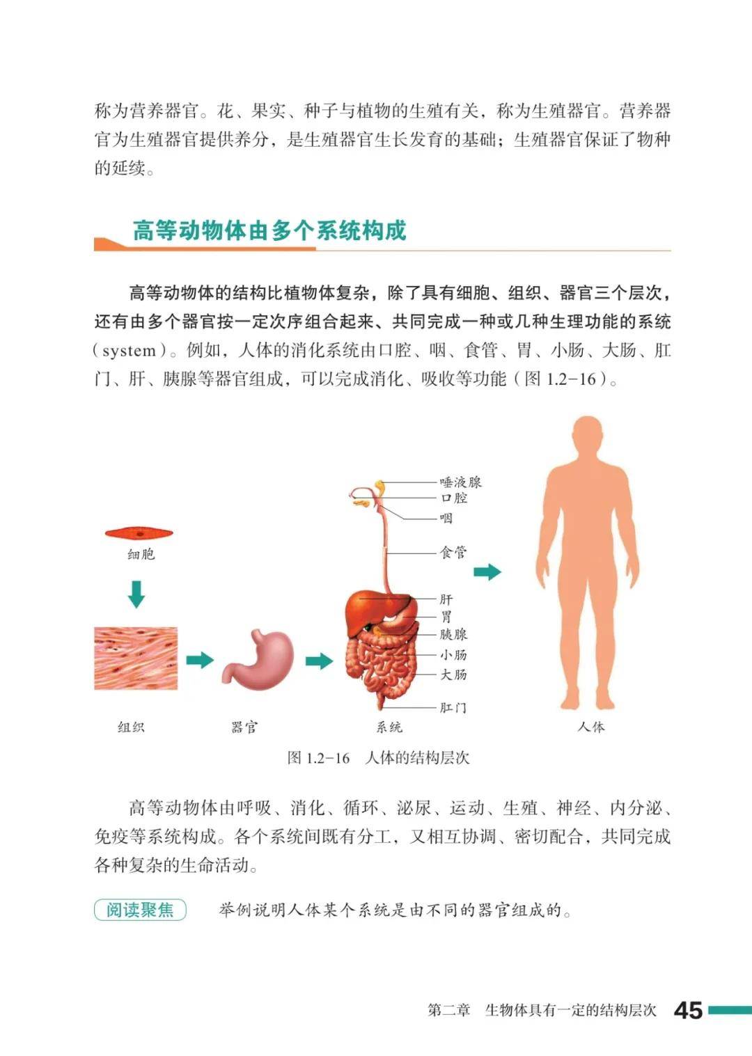 濟南版七年級生物上冊電子課本(2026新教材)