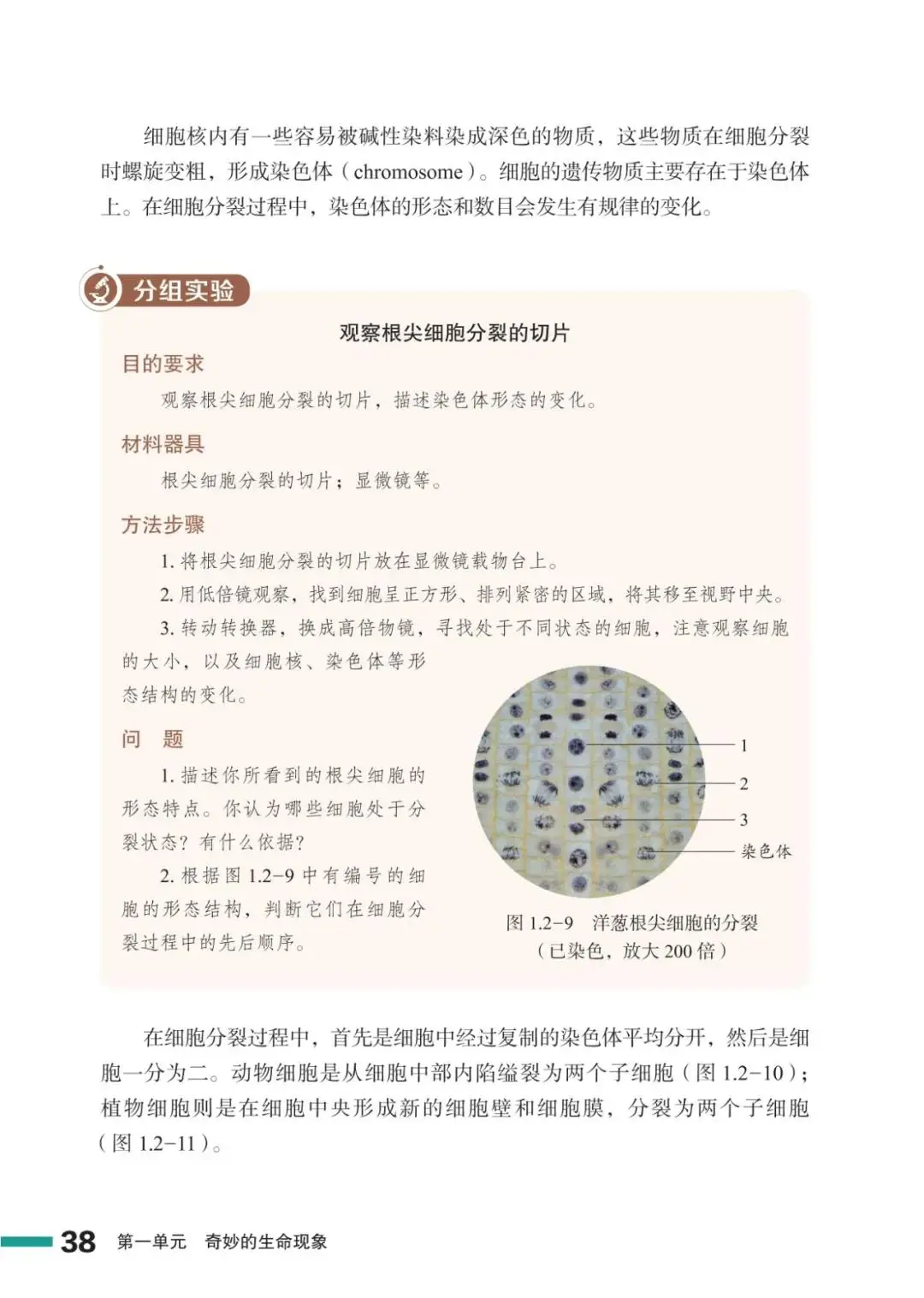 濟南版七年級生物上冊電子課本(2026新教材)