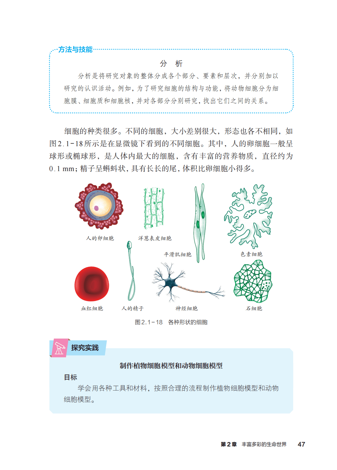浙教版七年級科學上冊電子課本(2026年新教材)