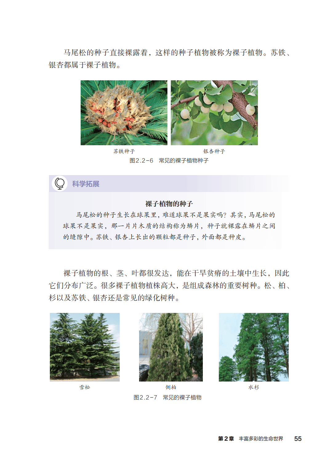 浙教版七年級科學上冊電子課本(2026年新教材)