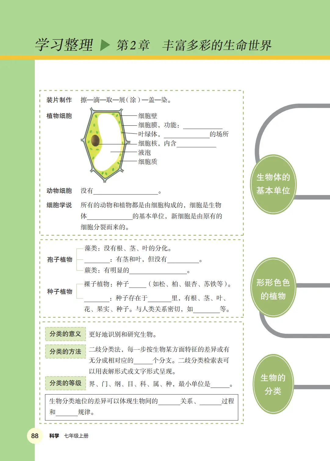 浙教版七年級科學上冊電子課本(2026年新教材)