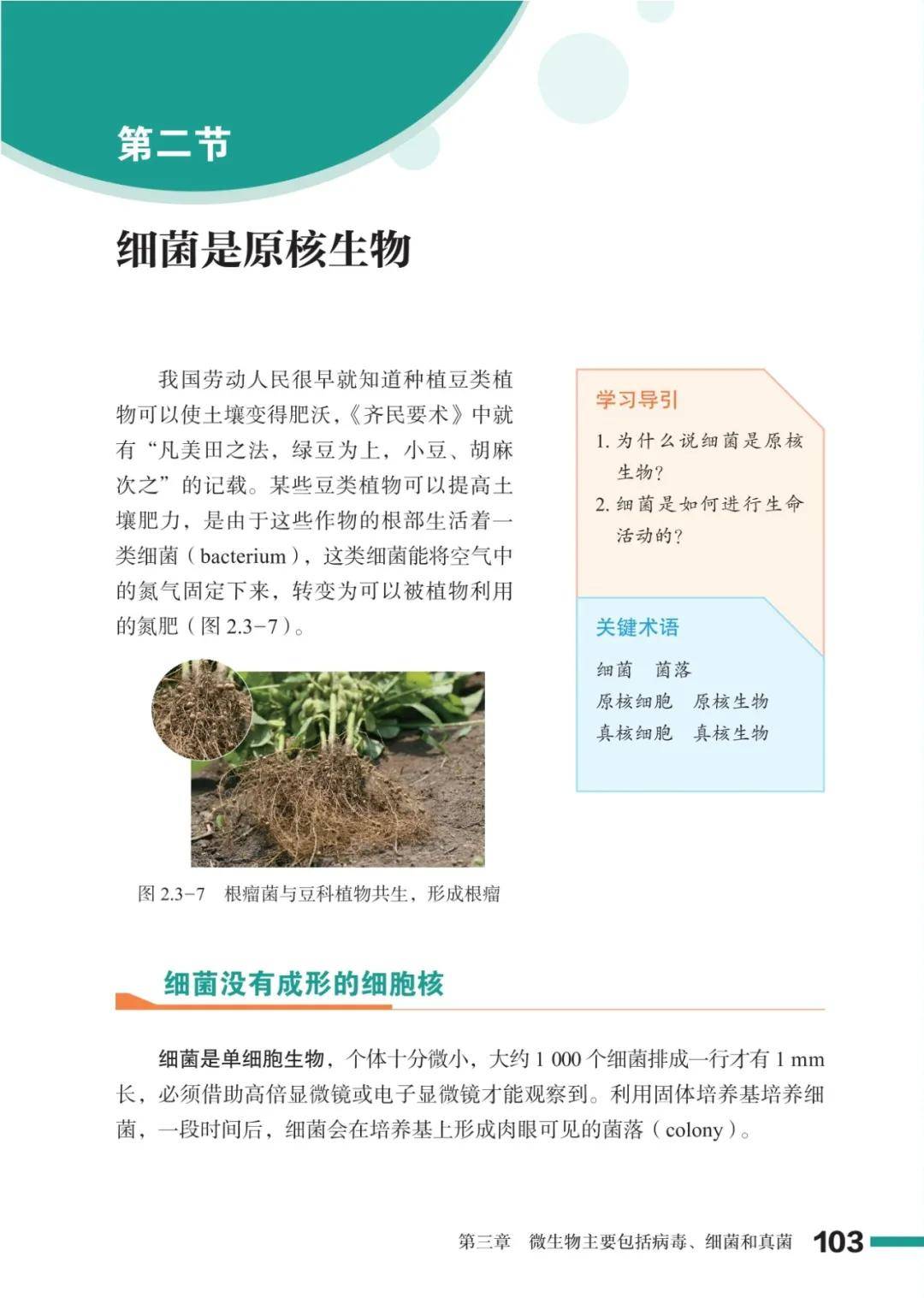 濟南版七年級生物上冊電子課本(2026新教材)