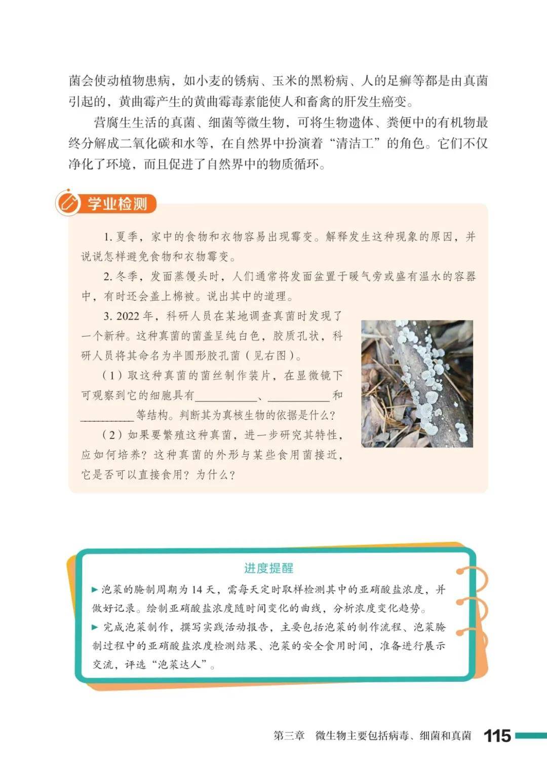濟南版七年級生物上冊電子課本(2026新教材)