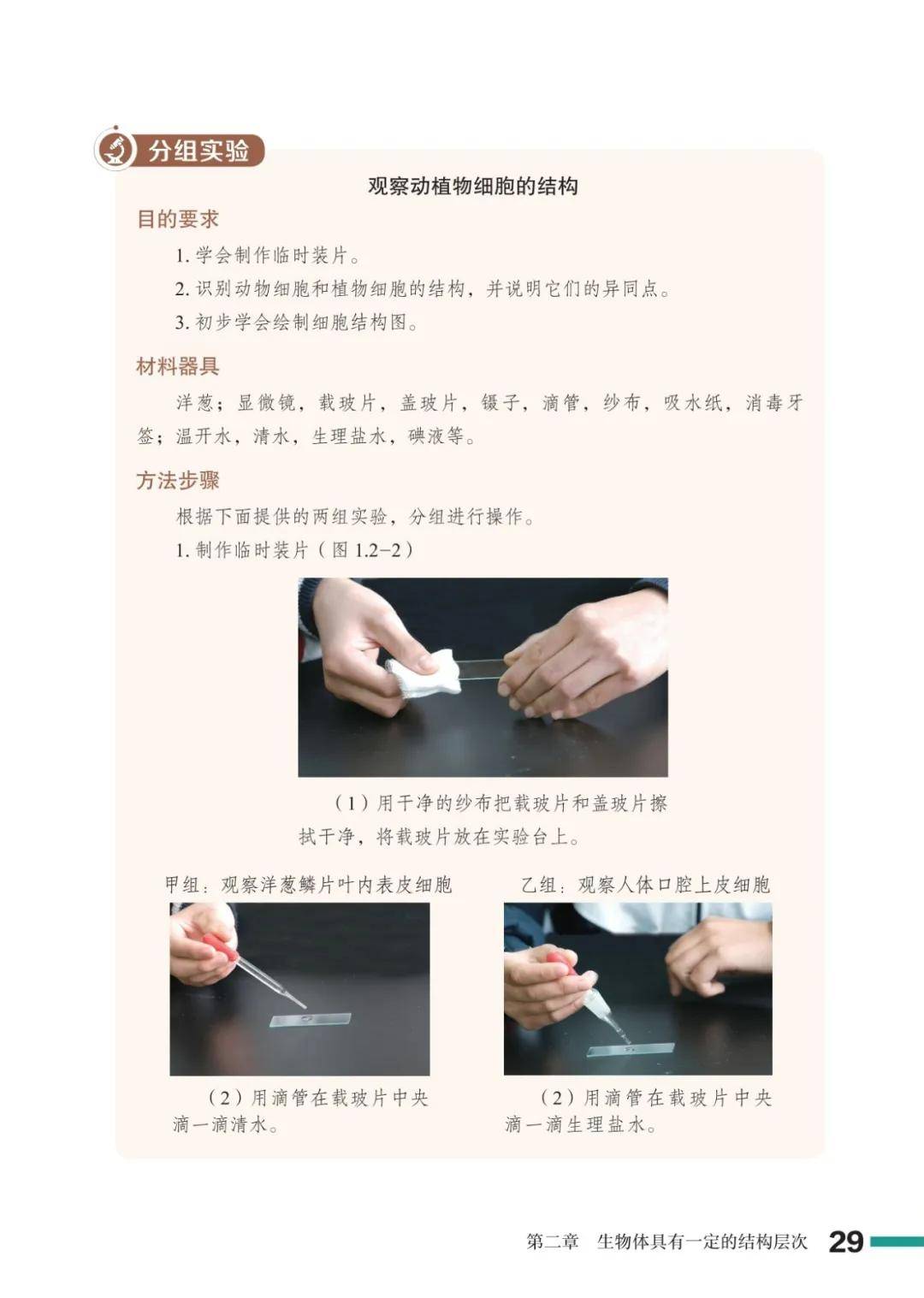 濟南版七年級生物上冊電子課本(2026新教材)