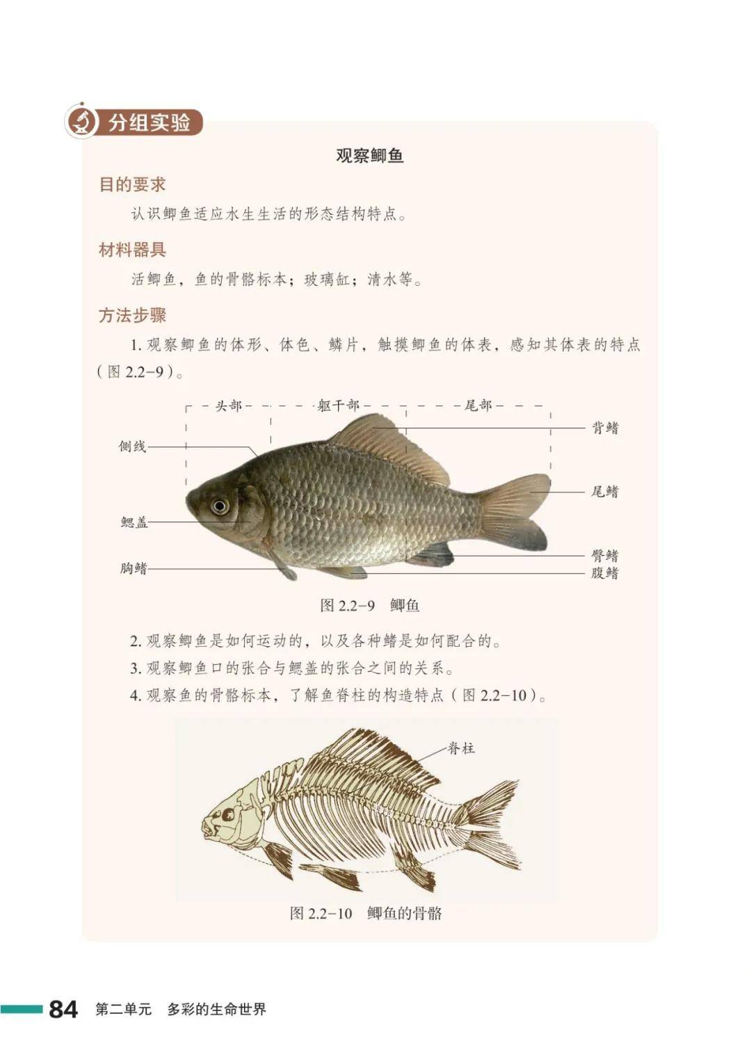 濟南版七年級生物上冊電子課本(2026新教材)