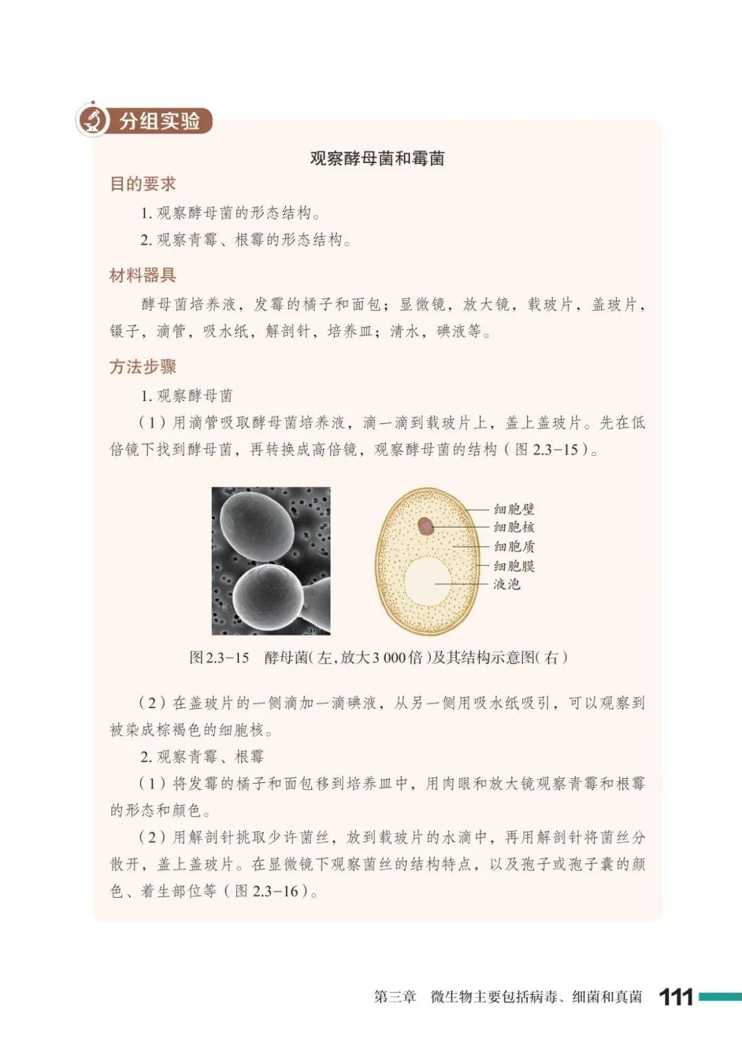 濟南版七年級生物上冊電子課本(2026新教材)