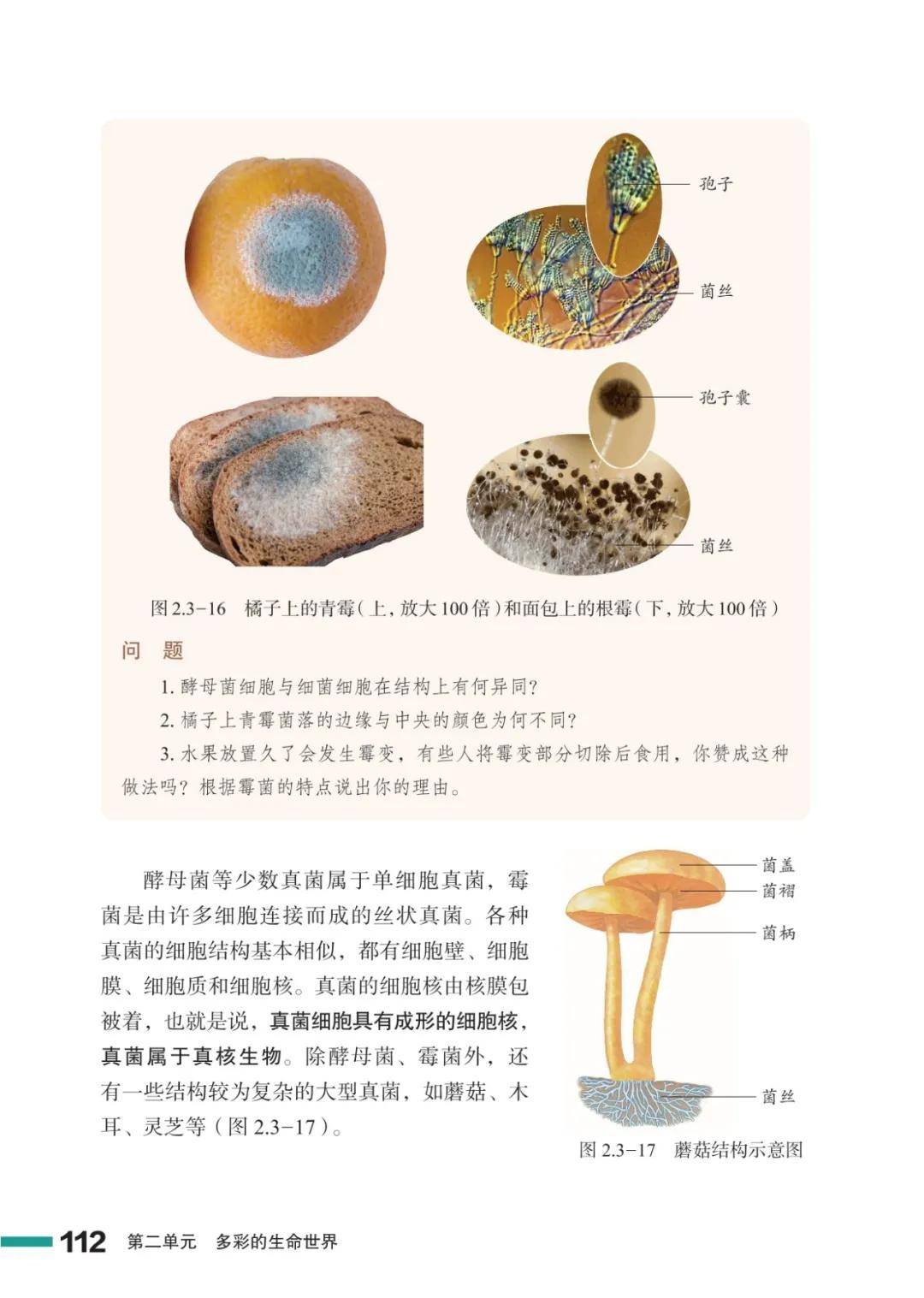 濟南版七年級生物上冊電子課本(2026新教材)