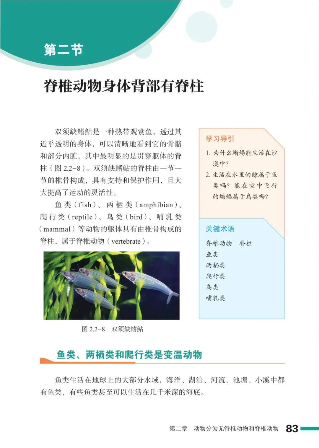 濟南版七年級生物上冊電子課本(2026新教材)