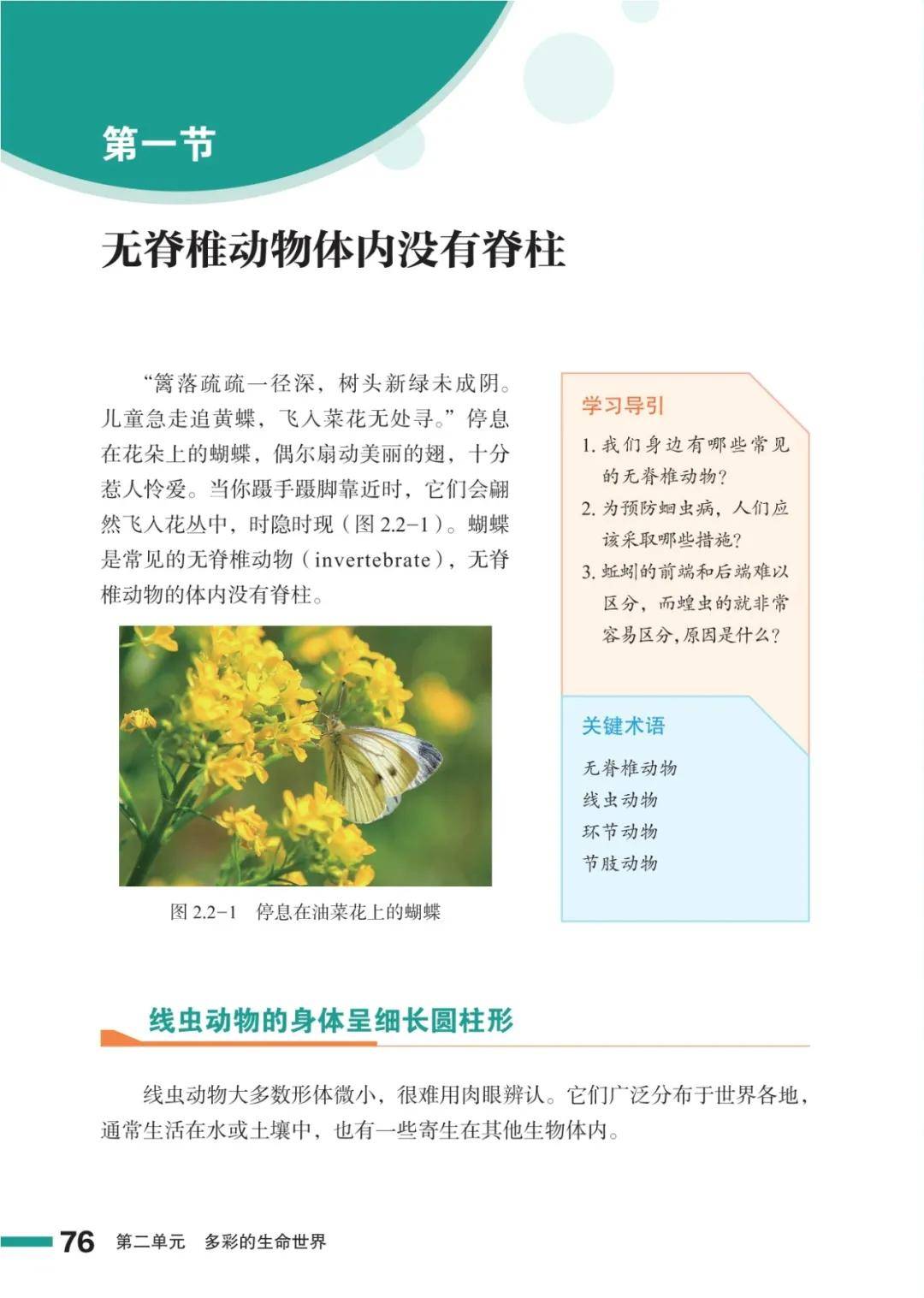 濟南版七年級生物上冊電子課本(2026新教材)