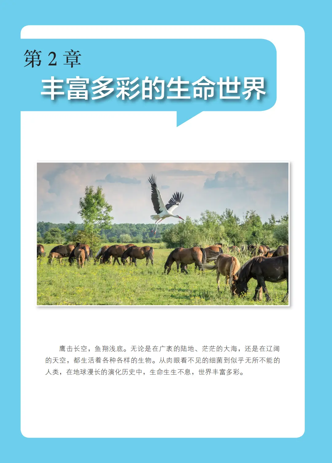浙教版七年級科學上冊電子課本(2026年新教材)