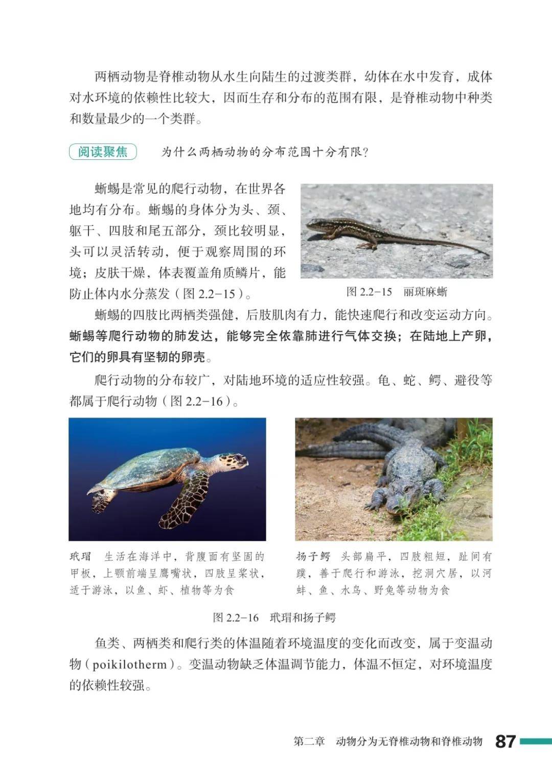濟南版七年級生物上冊電子課本(2026新教材)